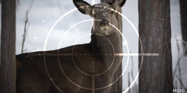 Plainfield superintendent addresses parent concerns about gunshots heard near schools