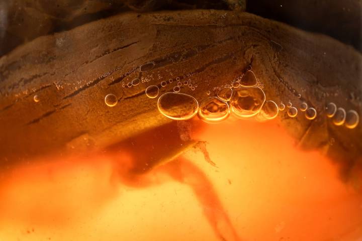 El “oro líquido” que equilibra la microbiota y mejora la salud digestiva