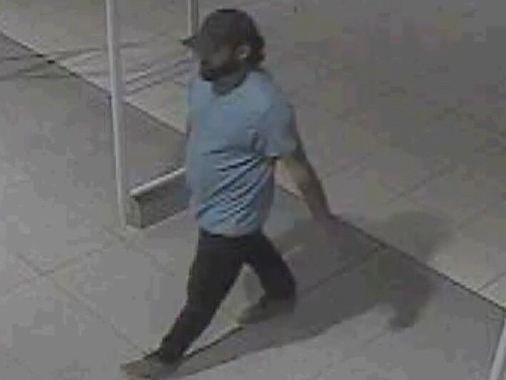 Ottawa police search for suspect after voyeurism incident