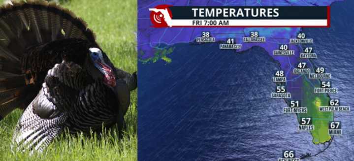 A cold front brings changes to Florida for the Thanksgiving holiday & weekend
