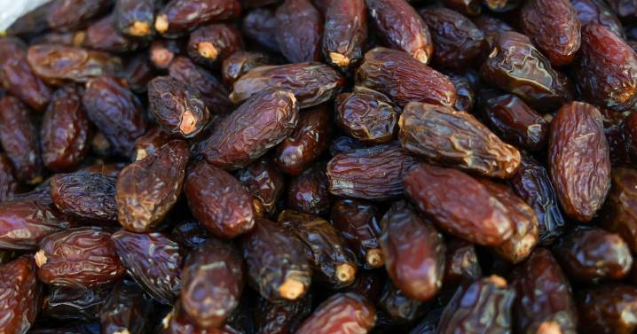 Refuerzan promoción del dátil: UES impulsa el 4to Festival Internacional de la Palma Datilera