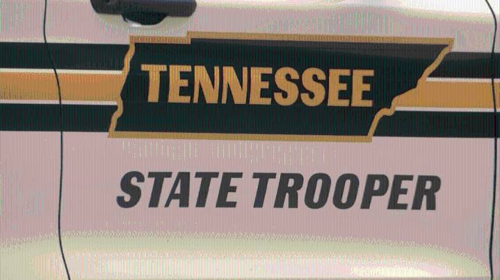 Driver dead after SUV crashes into tree in Claiborne County
