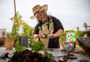 Test your skills as a farm hand at Fairplex’s fall harvest celebration