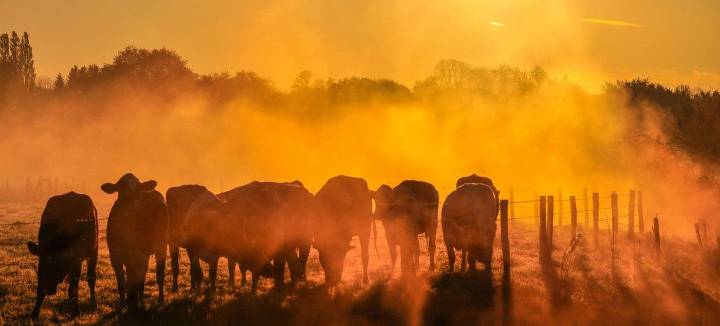 El 2025 se perfila como el segundo o tercer año más cálido en los registros