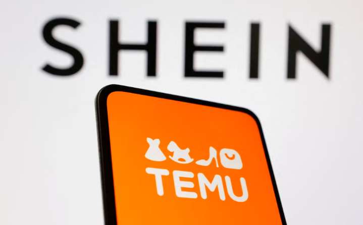 Proyecto anti Shein: Pichetto propuso aplicar un 30% de arancel a las compras en plataformas extranjeras