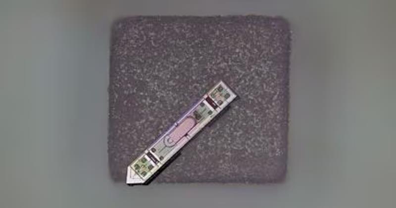 Scientists Develop Brain Implant Tinier Than a Grain of Rice; Sources Says