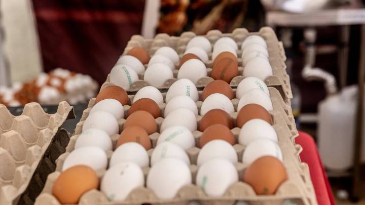 El futuro de los huevos por la crisis de la gripe aviar: bajada de oferta y precios tensionados