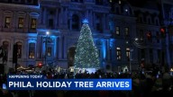 Philly Holiday Tree set to arrive at Philadelphia City Hall