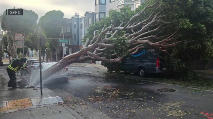 Fuertes lluvias causan problemas en el Bay Area – Telemundo Area de la Bahía 48