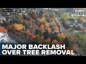 Student housing project at UW faces backlash over removal of 166 mature trees