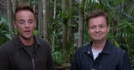I'm A Celebrity star Ant brands campmates 'bunch of idiots' after Angry Ginge's 'big mistake'