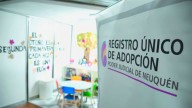 Tras un femicidio, la Justicia respeta el deseo de una niña y le otorga la adopción plena por el padre de sus hermanos