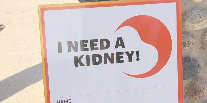 2025 Charlotte Kidney Walk returns this November: Event details, how to register