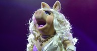 Sabrina Carpenter Arrests Miss Piggy on Short n’ Sweet Tour