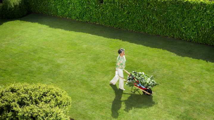 Stick Edgers Vs. String Trimmers: Which Is Best For A Pristine Lawn?