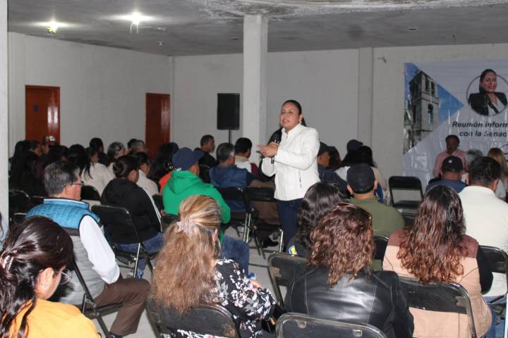 Busca el viejo régimen desestabilizar al gobierno federal: Ana Lilia Rivera