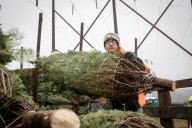 Don't wait to get your Christmas tree from these Connecticut farms