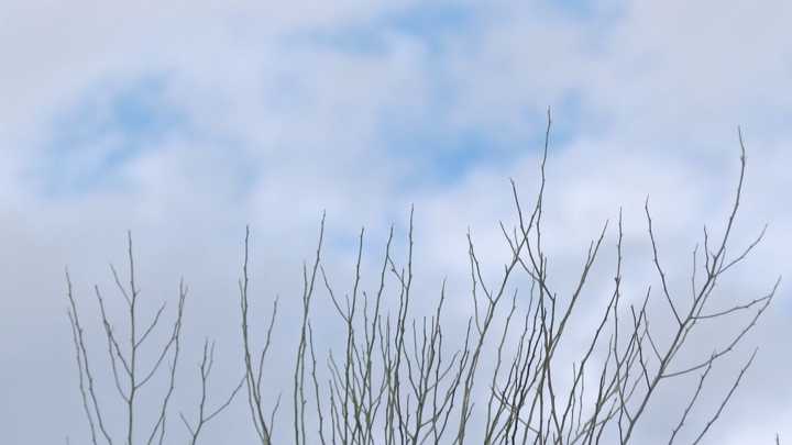 Pronostican Temperaturas de Hasta 0ºC para Sonora durante el Mes de Noviembre 2025