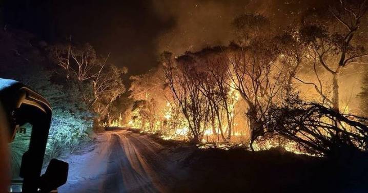 NZ firefighters battling 1000-hectare park blaze