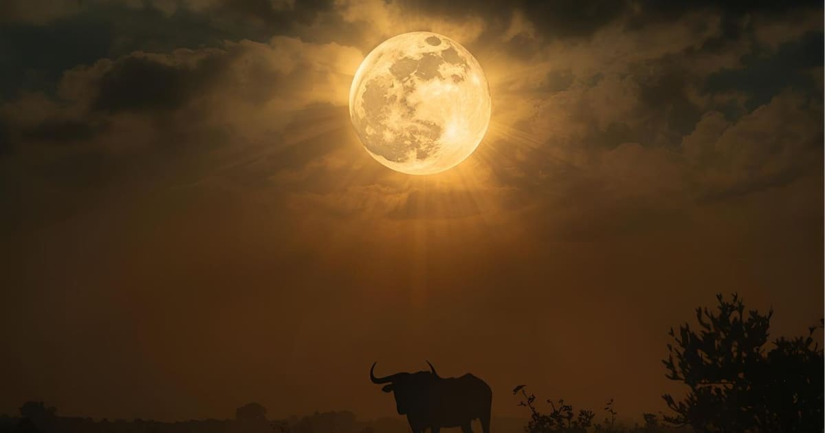 Súper Luna llena en Tauro: rituales sencillos para atraer buena suerte y estabilidad este noviembre