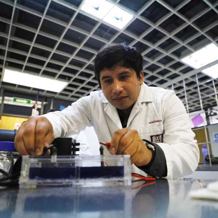 Estudiantes del IPN aprovechan sargazo para retirar contaminantes de aguas residuales