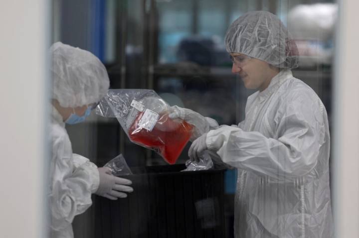 Scientists explore new frontier in autoimmune disease treatment by resetting 'rogue' cells