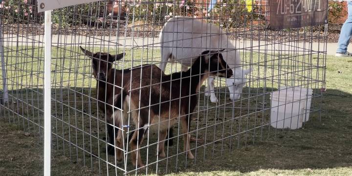 Kids Jam kicks off November in Aiken County