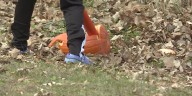 Sun Prairie hosts first pumpkin smash event to promote composting