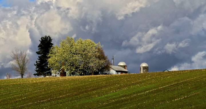 County releases agricultural lands study as part of the comprehensive plan update