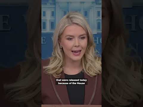 Karoline Leavitt calls Epstein emails a "distraction campaign" by Democrats