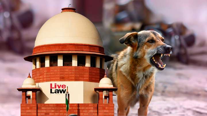 'Persistence Of Stray Dogs Imperils Public Safety' : Supreme Court Flags "Dog Bite Menace", Says Children & Poor Worst Affected