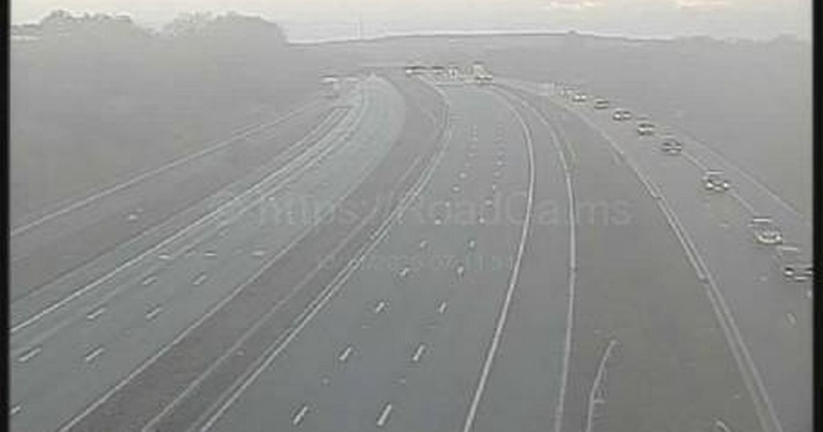 Tragic M1 crash sees two in their 20s dead after car collided with tree