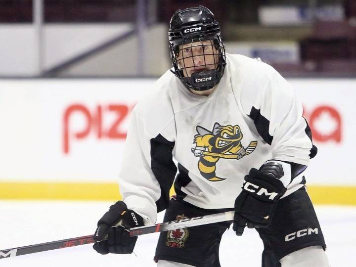 Local roundup: Fogarty debuts in QMJHL; D'Andrea, Bogart are top prospects