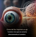 COREA DEL SUR IMPRIMIÓ UN OJO HUMANO 