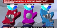 Making a Snowball: Is this snow 'perfect' or 'poor'?