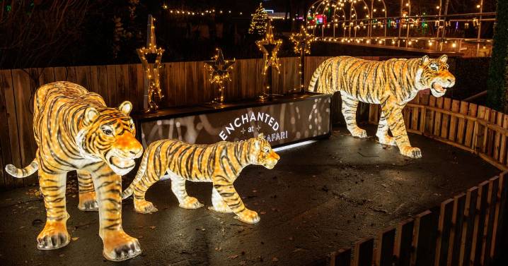 I was torn over what to do with my one-year-old this Christmas - but then I found the perfect activity