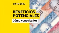 Beneficios potenciales: ¿Cómo consultar qué ayudas del Estado están disponibles para tu familia?