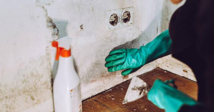 The 65p hack that could stop mould taking over your home this winter