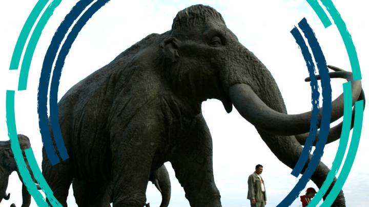 Colossal buys animal cloning biotech in pursuit of de