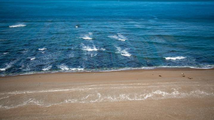 Ni Mar del Plata ni Pinamar: la playa con termas marinas y una reserva natural a 3 horas de Buenos Aires