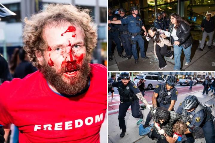 Brave reformers must dethrone radical political zealots to save our universities