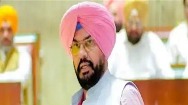 Punjab Govt Sets November 30 Deadline for Flood Compensation, says Dhaliwal