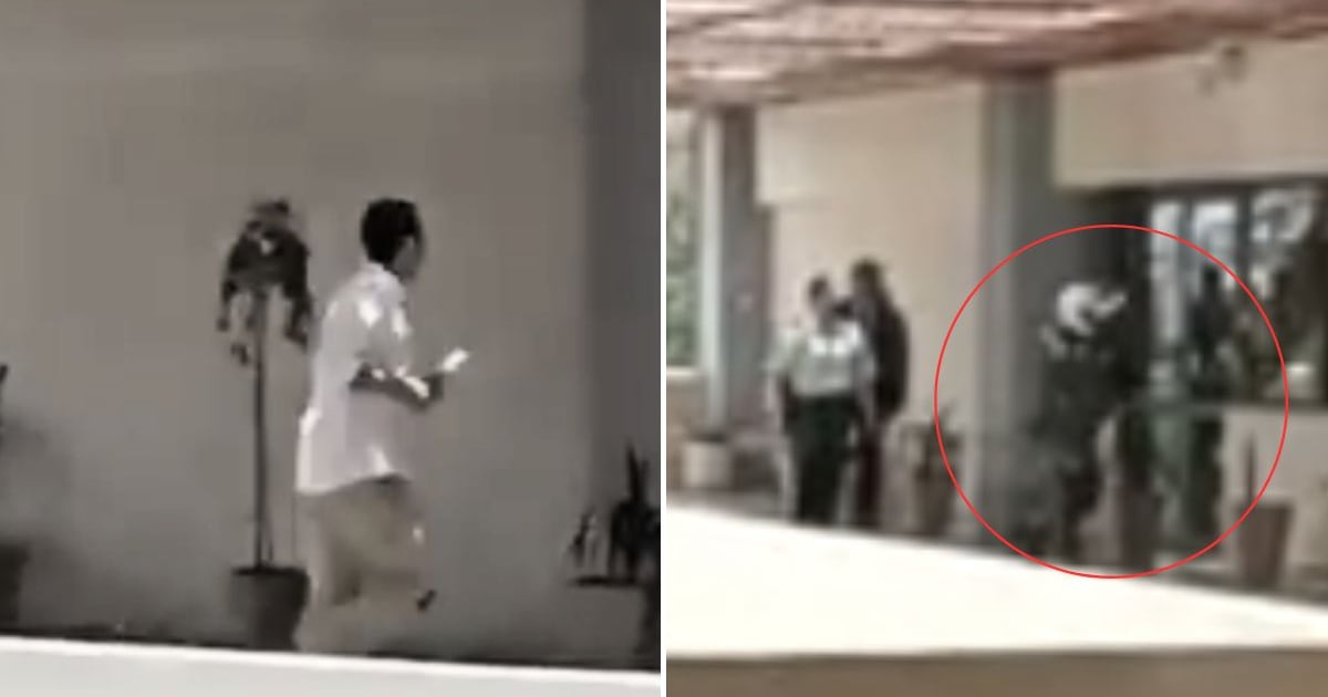 Funcionario del Poder Judicial ataca a administrador de la Corte de Arica y es abatido por gendarmes y carabineros