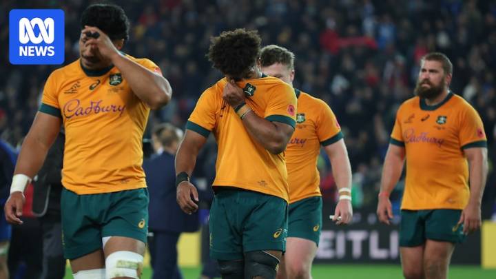 Wallabies vow to bounce back in Ireland Test as spring tour continues in Dublin