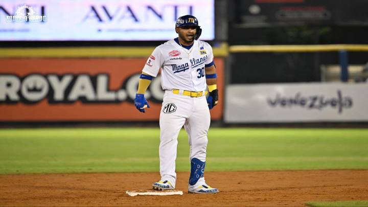 Magallanes apaleó a Leones para cortar su mala racha