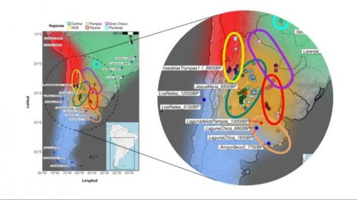 Científicos hallan un componente genético autóctono de Argentina
