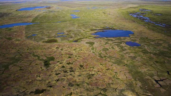 Científicos descubren microbios del pasado que despiertan y comienzan a comer carbono
