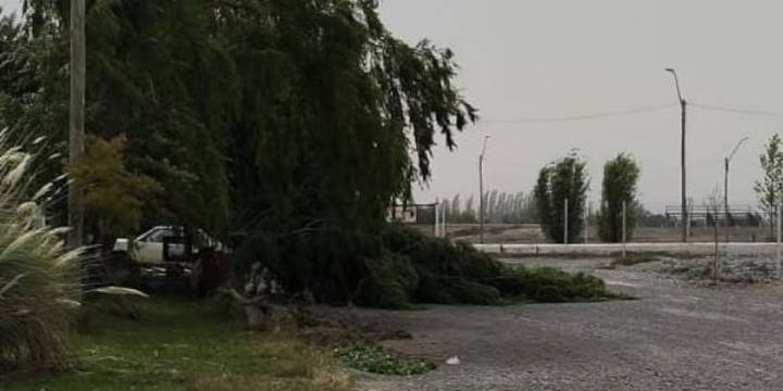 Chubut declaró una alerta roja por vientos de hasta 150 km/h: se suspendieron las clases y hay cortes de rutas