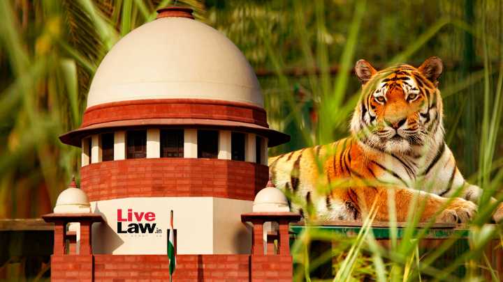 Supreme Court Issues Directions On Tiger Safaris, Directs States To Notify ESZs Around Tiger Reserves