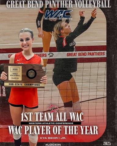 Panthers' Behr earns Player of Year honor